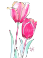 万智のイラスト　チューリップ.jpg